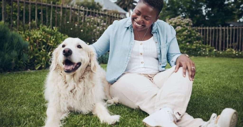 Love dogs? Starting a work-from-home dog sitting business could be for you!